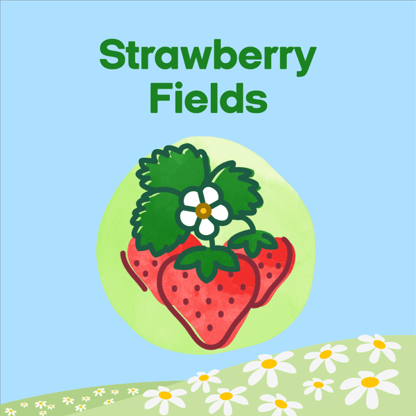 Strawberry Fields